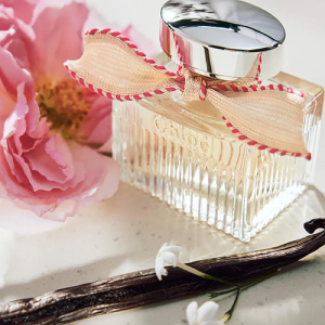 Női parfüm Chloé Chloé