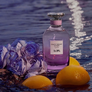 Női parfüm Coach Dreams Moonlight