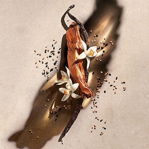 Női parfüm Zadig & Voltaire Zadig