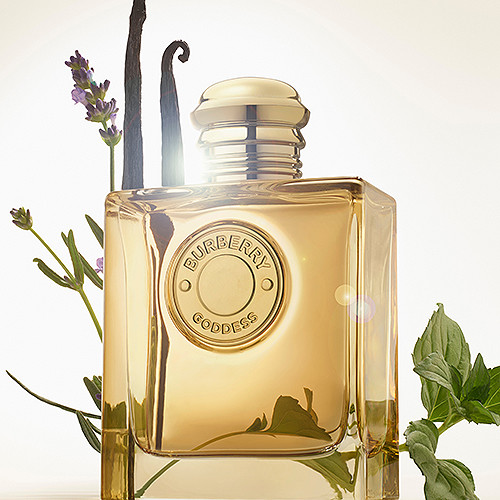 Női parfüm Burberry Goddess
