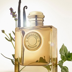 Női parfüm Burberry Goddess