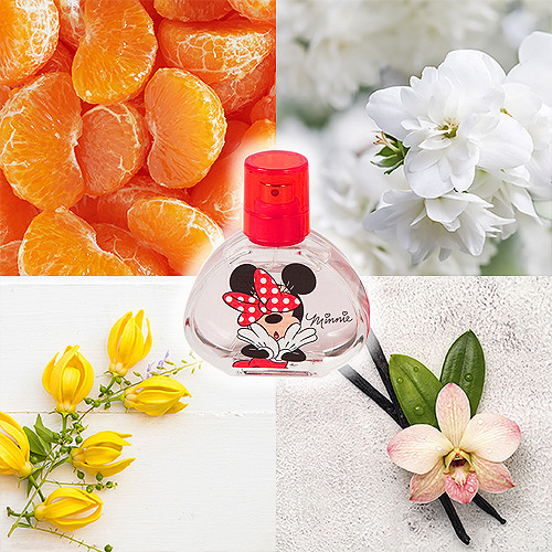 Speciális termékek Air-Val Minnie Mouse