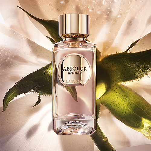 Női parfüm Lancôme Absolue 6 AM Rose