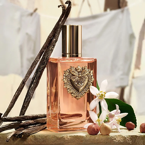 Női parfüm Dolce & Gabbana Devotion