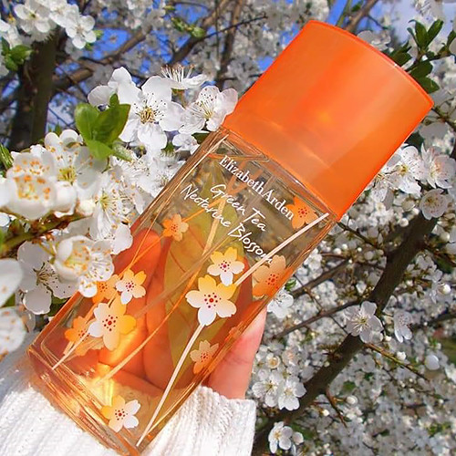 Női parfüm Elizabeth Arden Green Tea Nectarine Blossom