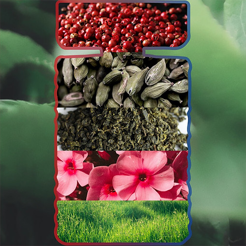 Férfi parfüm Replay Signature Red Dragon For Man