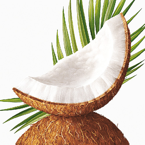 Tisztálkodás Ecodenta 